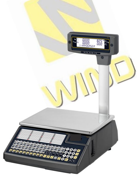 rse8015--dibal-wg25-printer-scale